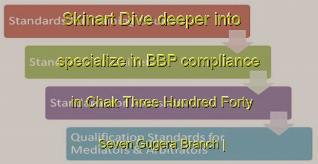Skinart Dive deeper into specialize in BBP compliance in Chak Three Hundred Forty Seven Gugera Branch | BbpTraining | BbpClasses | SkinartTraining-Pakistan